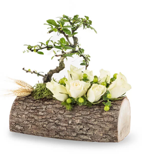 Bornova Çiçekçi , Çiçekçi Bornova , İzmir Bornova Çiçekçi